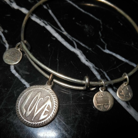 Alex and Ani Love Charm Rafaelian Silver Bangle Br - Picture 2 of 5